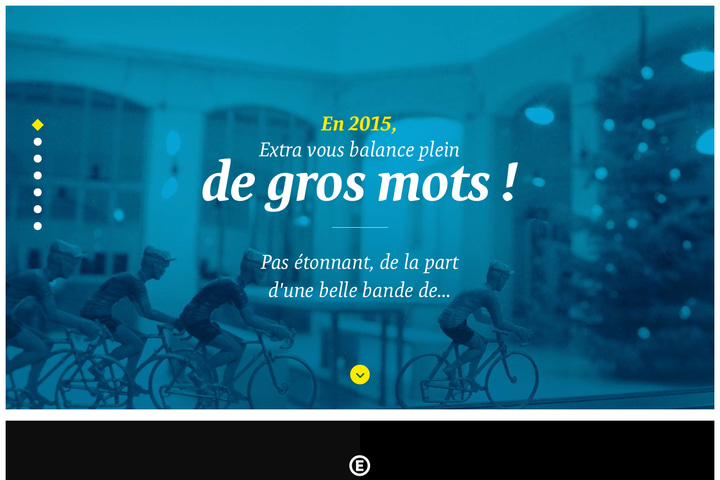 Vœux 2015 website preview